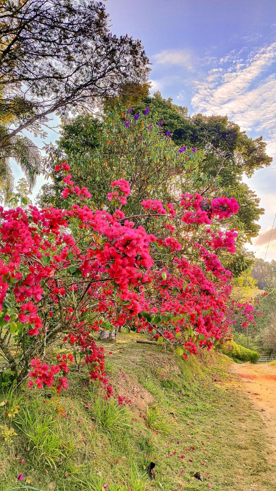 Pousada Colar de Ouro Chalés Cunha Esterno foto