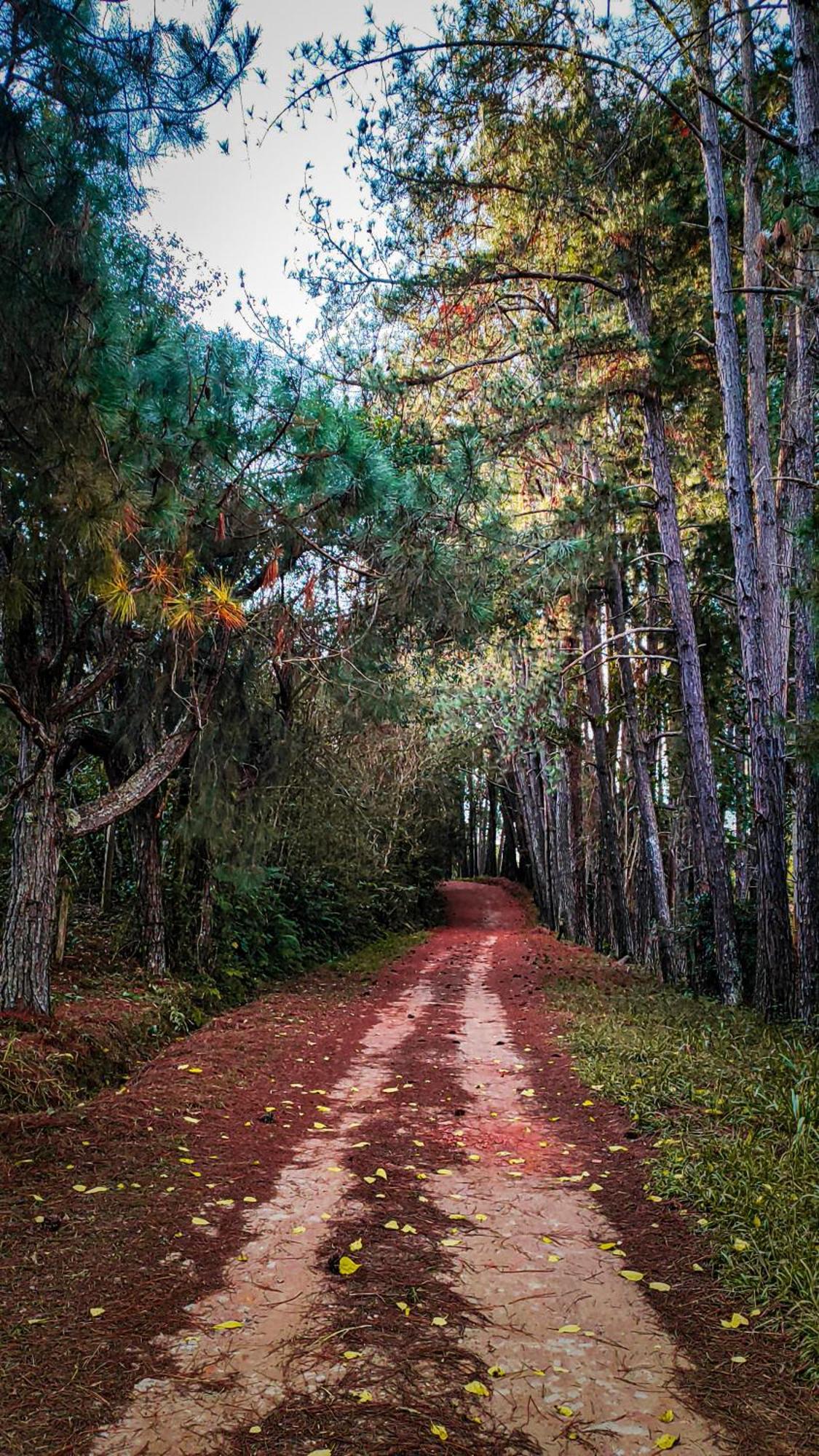 Pousada Colar de Ouro Chalés Cunha Esterno foto