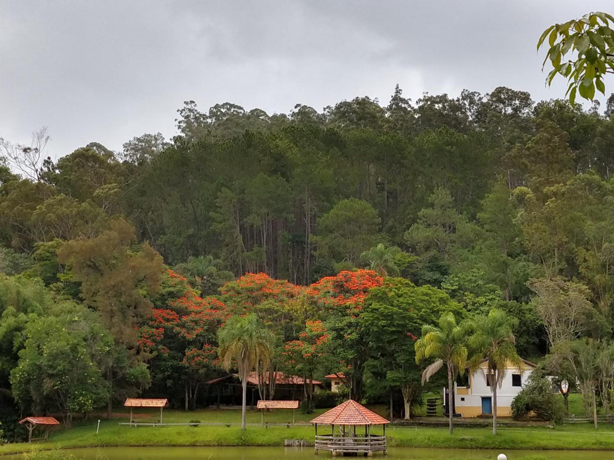 Pousada Colar de Ouro Chalés Cunha Esterno foto
