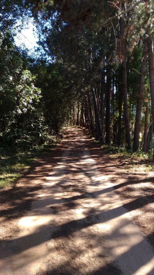 Pousada Colar de Ouro Chalés Cunha Esterno foto